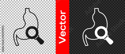 Black Human stomach with magnifying glass icon isolated on transparent background. Vector