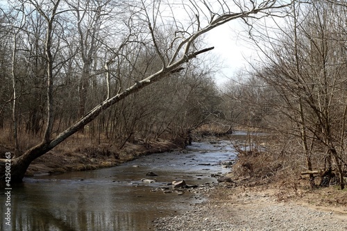 The flowing creek in the winter forest on a cloudy day.