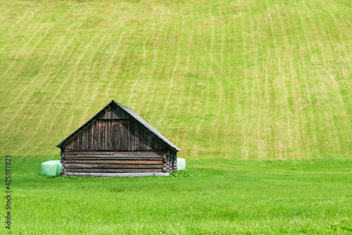 Hölzerner Heustadel in grüner Almwiese