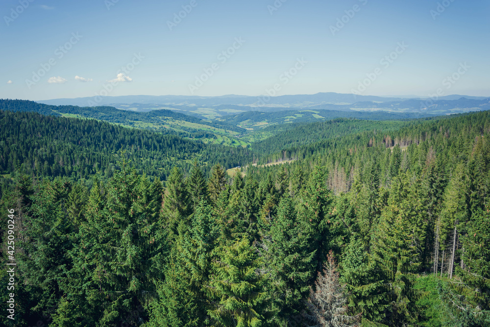 View from Treetop walk Bachledka/Slovakia