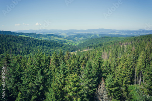 View from Treetop walk Bachledka Slovakia