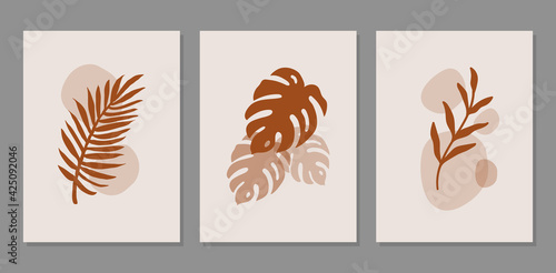 Modern abstract set aesthetic backgrounds with organic shapes and branch. Wall decor in boho style. Mid century vector print for cover, wallpaper, card, social media, interior decor