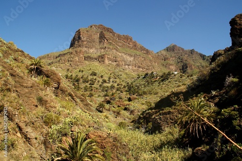 Masca  ciudad de la isla de Tenerife desde el fondo de su famoso ca    n en el sur de la isla  Islas Canarias  Espa  a. Paisaje volc  nico rocoso con monta  as escarpadas y profundos barrancos.