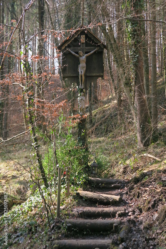 Spaziergang am Goldbach photo