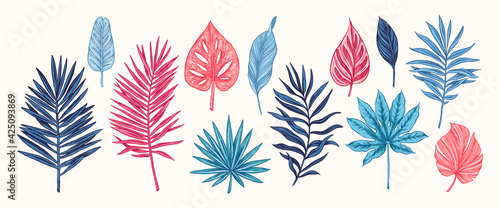 Collection of blue and pink tropical leaves and plants isolated on white background. Vector Hand Drawn Sketch Botanical Illustration. Highly detailed plant collection. Palm leaves. Exotic. Vintage