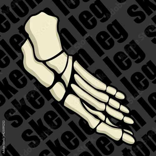 Image of a part of a human skeleton. Anatomical image. Foot of the skeleton.