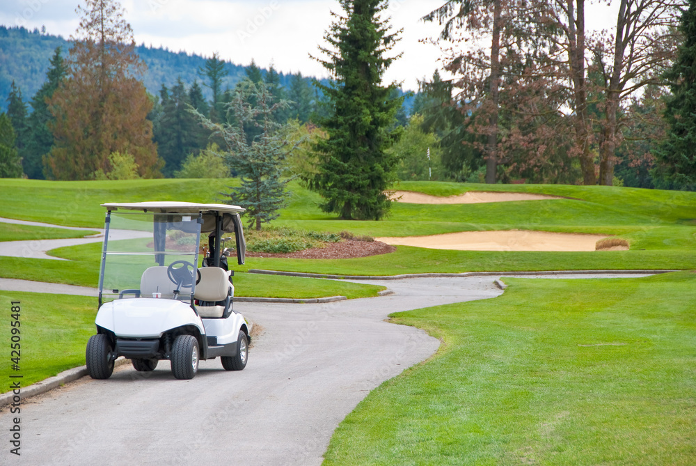 Golf place with nice green and curved path.