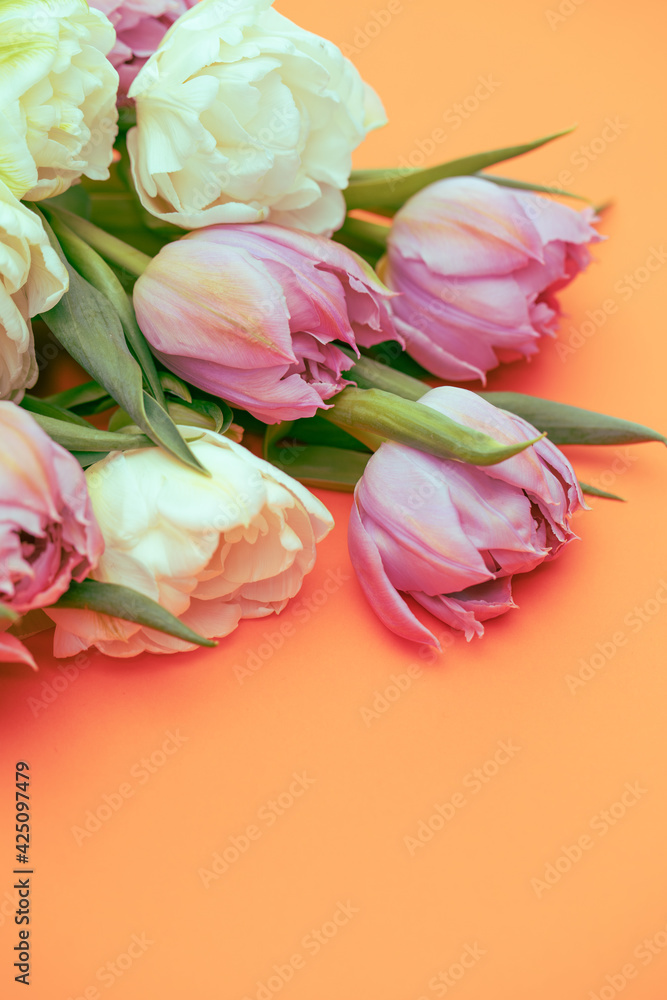 Fototapeta premium tulips on an orange background