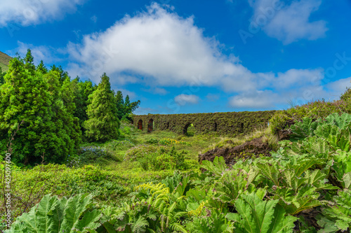 Aqueduct covert with green plants in the mountain of Sao Miguel with trees and blue sky, Azores, Portugal