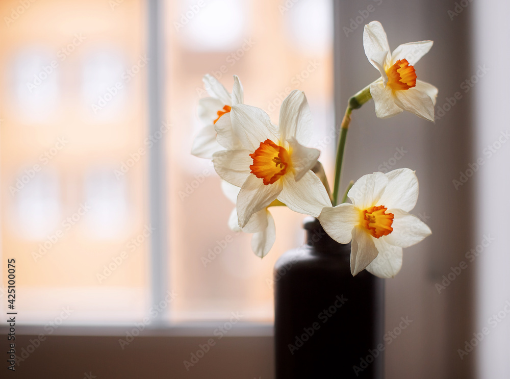 Daffodils in a black vase at home on the windowsill. Spring, spring flowers.