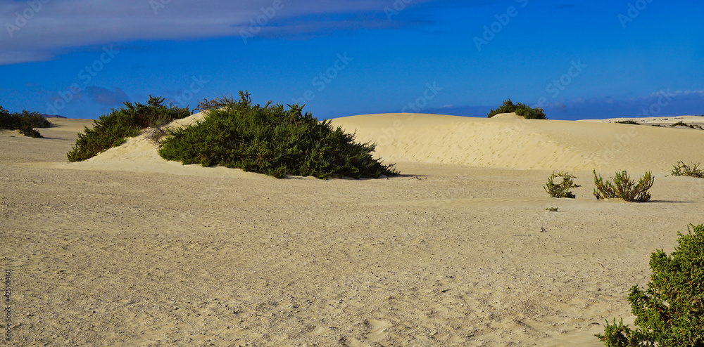 Sanddünen und wüstenähnliche Landschaft nahe Corralejo auf Fuerteventura