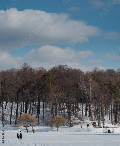 Two trees at the front of forest at the lake in Tsaritsyno park