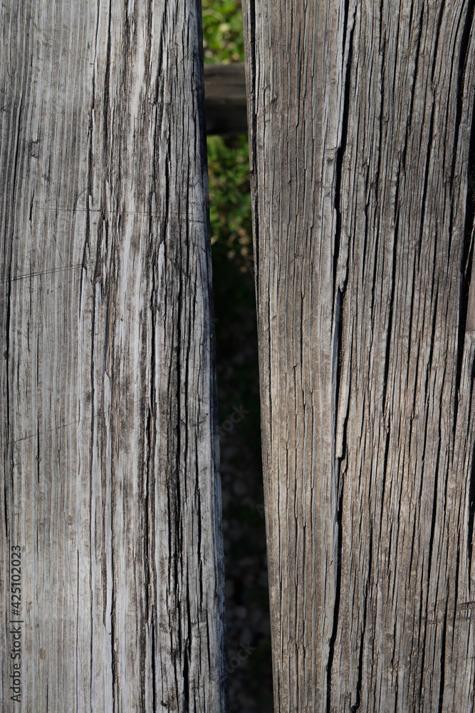 Obraz premium old wood texture