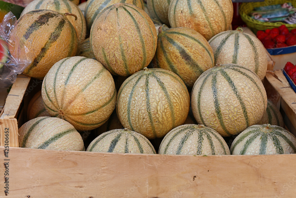 Close up fresh cantaloupe melons on retail display