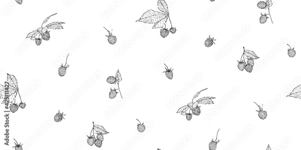 Fototapeta premium Hand drawn raspberry seamless pattern. Sketch style vector illustration. Black botanical endless backdrop on white background
