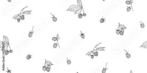 Hand drawn raspberry seamless pattern. Sketch style vector illustration. Black botanical endless backdrop on white background