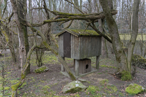 Little old abandoned wooden hut in the forest © tina7si