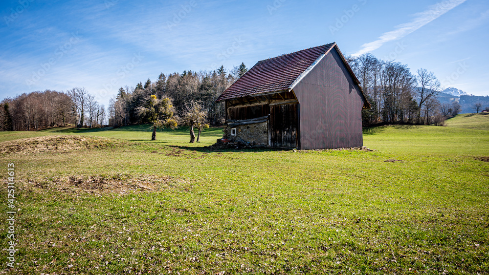 Barn in a green field next to a forest and hill. Idyllic landscape scene in Switzerland.