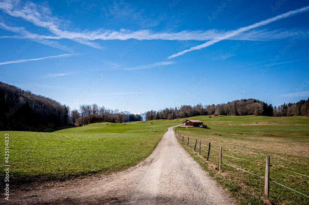Barn in a green field next to a forest and hill. Idyllic landscape scene in Switzerland. Barn in a green field next to a forest and hill. Idyllic landscape scene in Switzerland.
