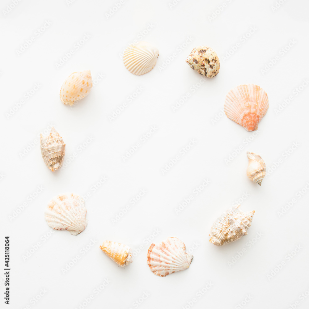 A circle of seashells