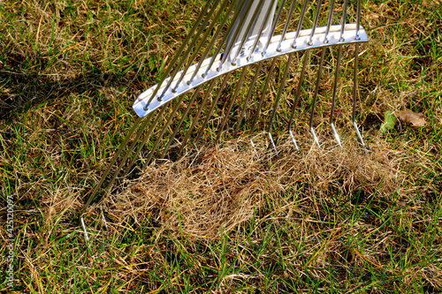 фотографія Spring lawn care