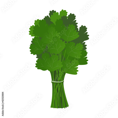 A bunch of parsley greens in a cartoon style on a white background. Vector illustration with fresh herbs. Perfect for decorating a grocery store or a farm. Suitable as an icon or logtype