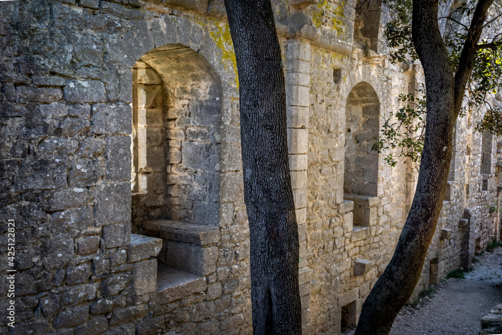 les troncs d'un arbre devant les murs et les fenêtres d'un vieux chateau