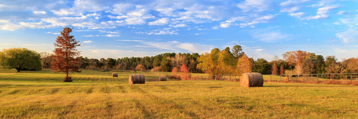 Leinwandbilder Honigfarbe Hay Bales On The East Texas Landscape  © James Eddy