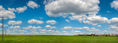 big panorama of a field planted with wheat or rye and the village on the horizon, beautiful sky, agriculture concept, site cap