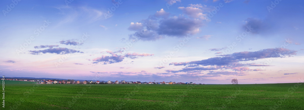 Spring fields with green grass of winter wheat in the picturesque evening sky. Panorama of agricultural landscape. Spring fields with green grass of winter wheat in the picturesque evening sky. Panorama of agricultural landscape.