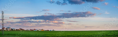 Spring field with green grass of winter wheat and the village, against the ba...