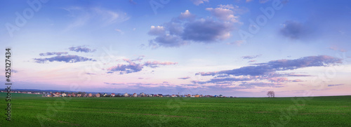 Spring fields with green grass of winter wheat in the picturesque evening sky...