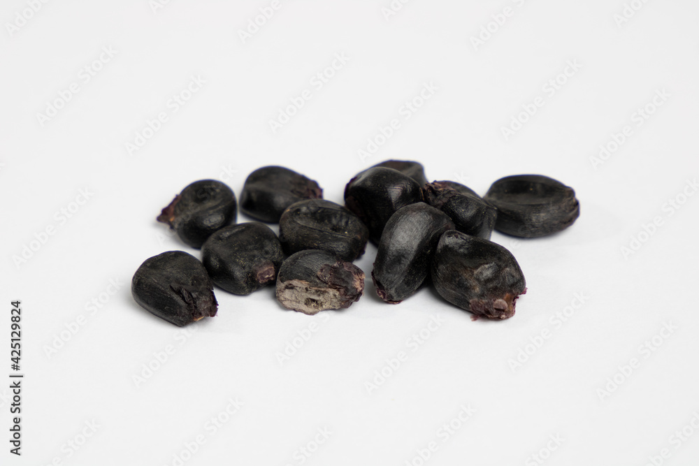 Obraz premium Kulli - Peruvian corn variety. 