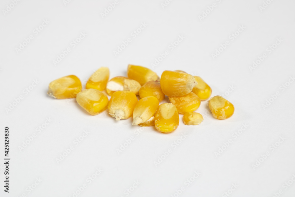Kallua - Peruvian corn variety. Kallua - Peruvian corn variety.