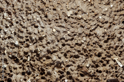 Natural Coral stone wall background in an island 