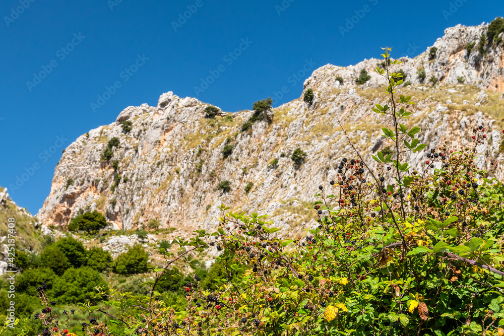 View of Rocca del Crasto near Alcara Li Fusi town in the Nebrodi Park, Sicily