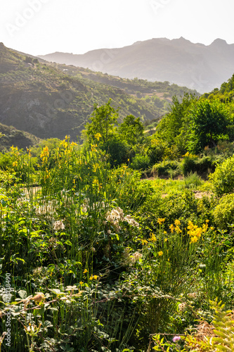 Typical sicilian landscape in the Nebrodi park near the Catafurco waterfalls photo