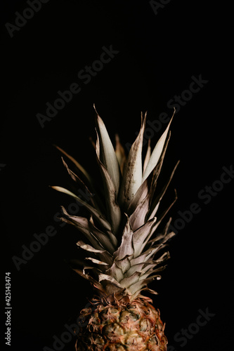 Dried pineapple leaves on black background. Harsh shadows, dramatic view, lots of details.