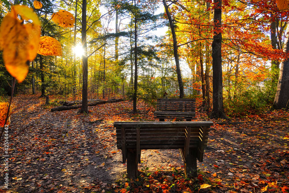 High angle view of the park bench with a lens flare in autumn
