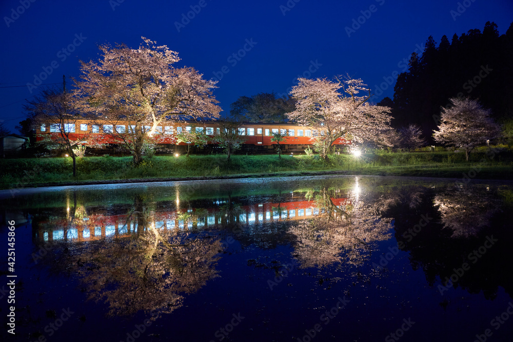 Obraz premium 春の小湊鉄道 夜桜とレトロ列車のリフレクション 飯給駅