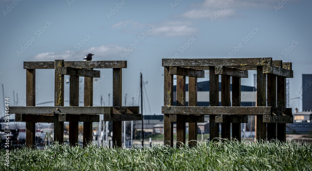 wooden art structure with bird