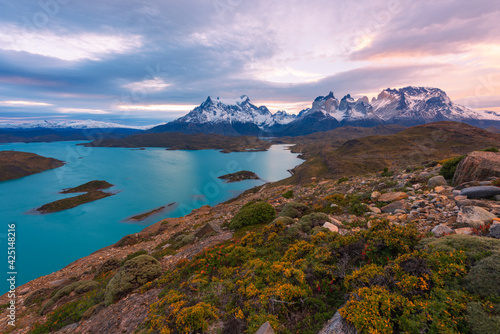Bright and colorful autumn natural scenery, strange vegetation pictures, located in Torres del Paine National Park, Chile, South America
