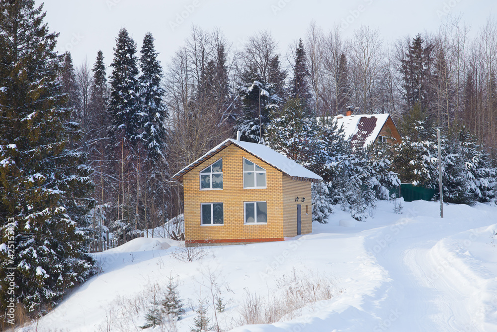 New village house on the edge of the forest in winter New village house on the edge of the forest in winter