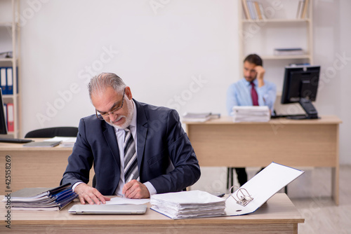 Old male boss and young employee working in the office © Elnur