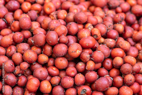 Closeup of wild manzanita berries photo