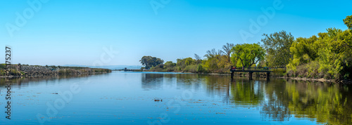 panorama view of the river in summer