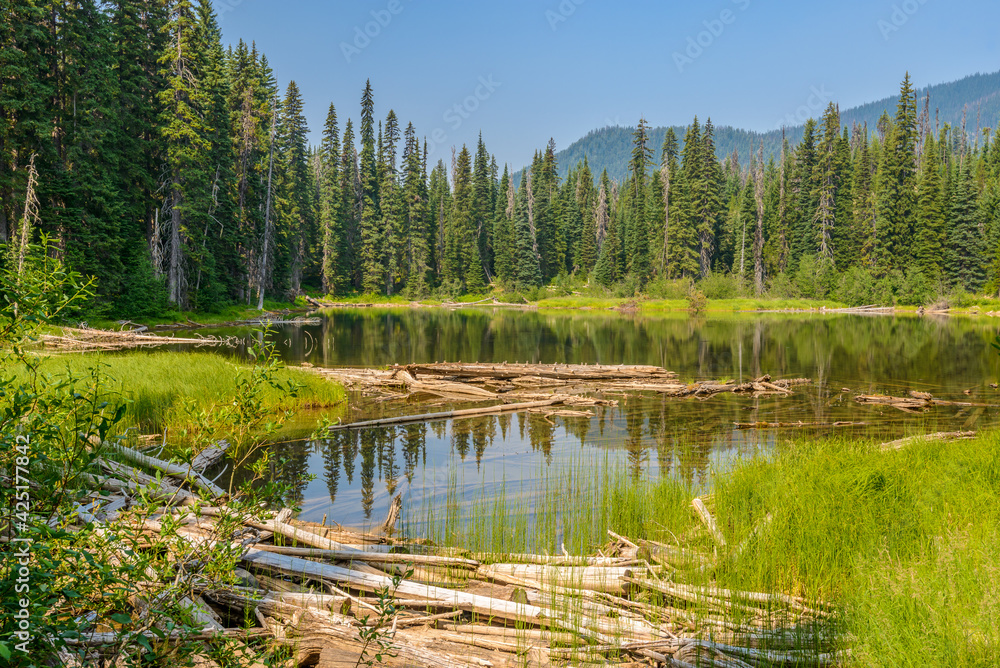 Majestic mountain lake in Canada. Lightning Lake in Manning Park in British Columbia. Lake Trail View. Majestic mountain lake in Canada. Lightning Lake in Manning Park in British Columbia. Lake Trail View.