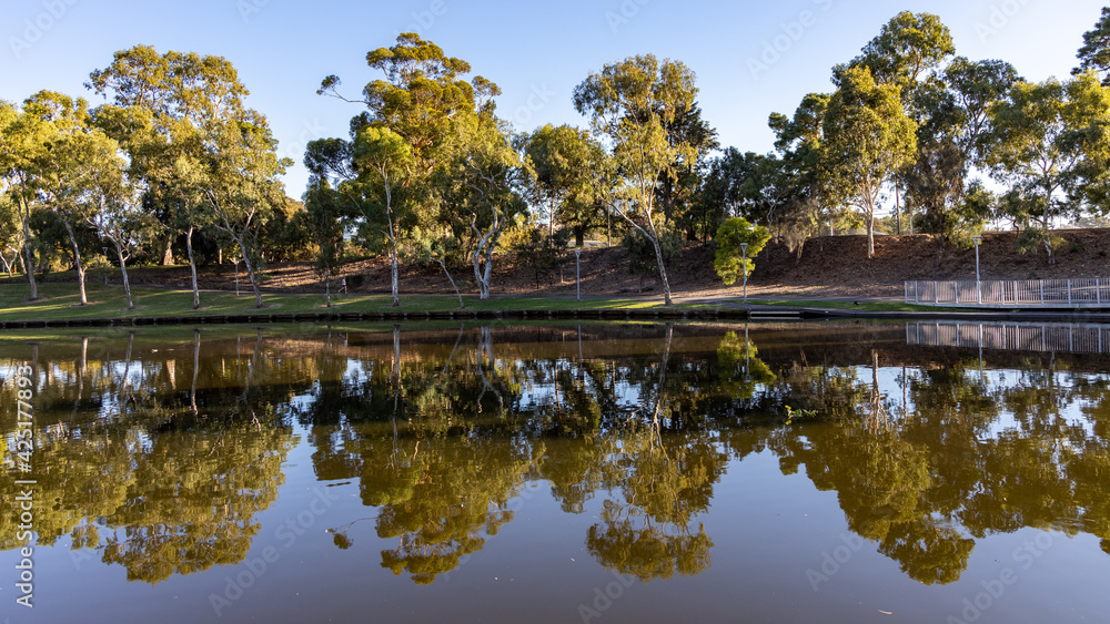 The reflections of the riverbank of the river torrens in adelaide south australia on april 2nd 2021