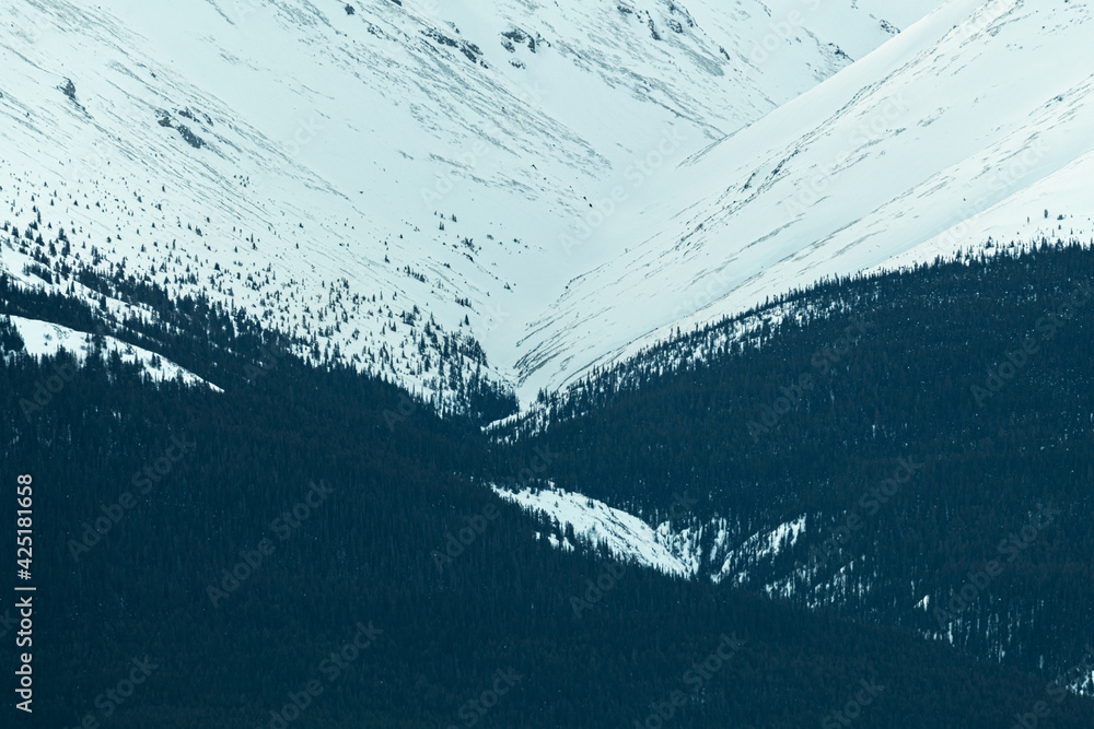 A beautiful winter view of northern Canada during March with wilderness, large snow capped mountain peaks surrounded by woods, forest and nature. A beautiful winter view of northern Canada during March with wilderness, large snow capped mountain peaks surrounded by woods, forest and nature.