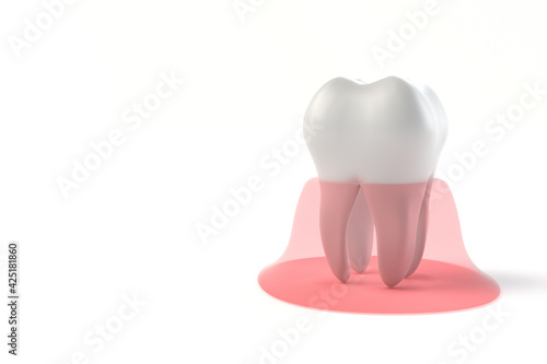 歯と歯茎の3Dイラスト photo